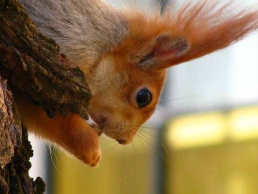 ���������?!