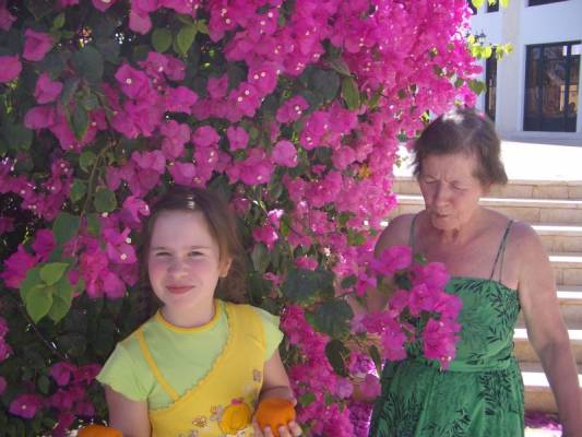 � ������