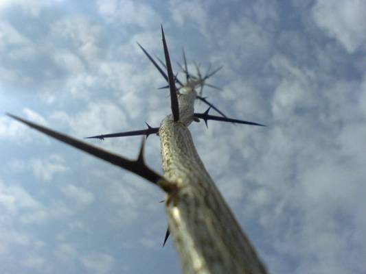 ��������� ���� � ����