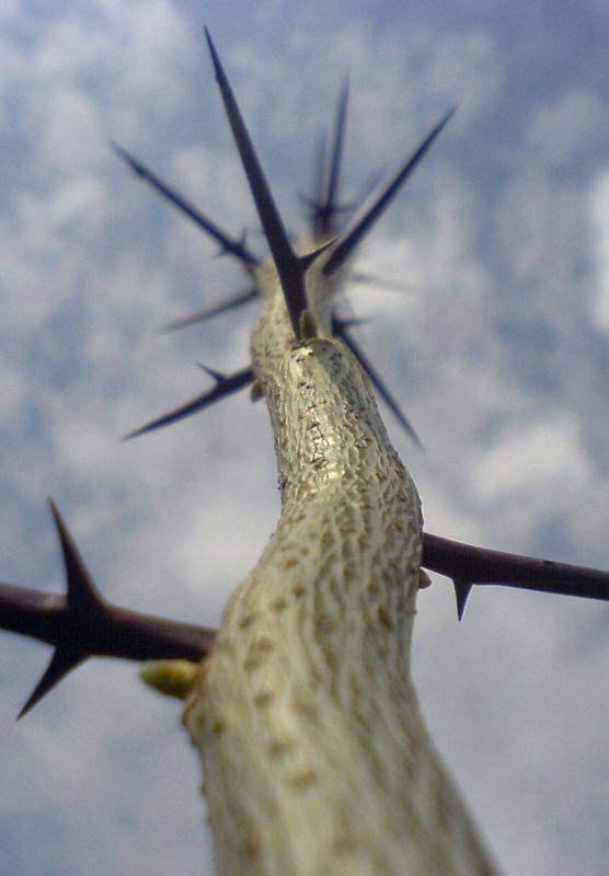 ��������� ����! 