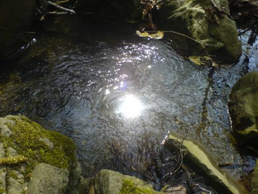 ������� ���������� ����� ! 