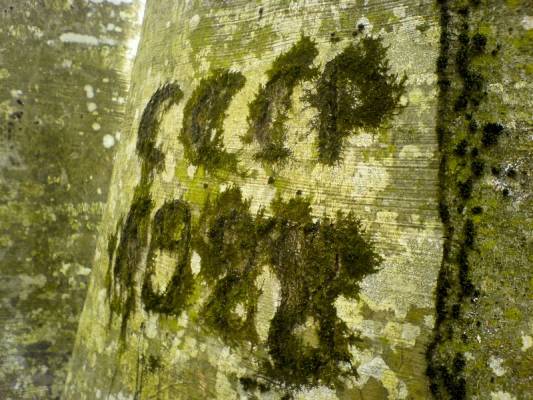 �������� � ����