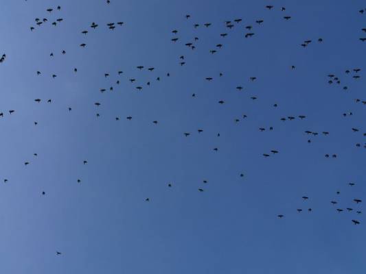 ��������� �����