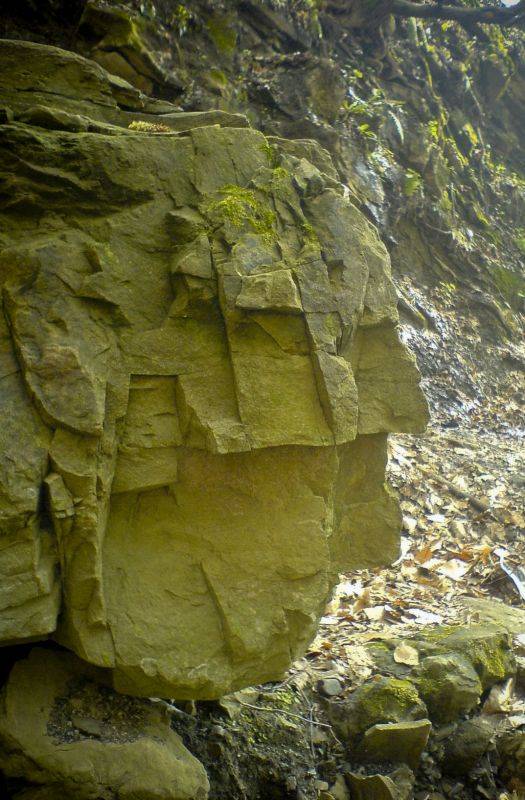 �������� ������ ������� 