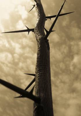 ��������� �����  