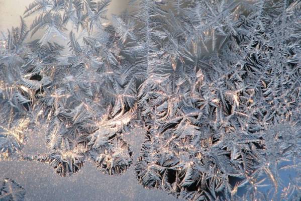 ������ �����