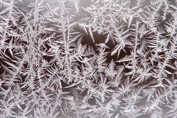 ������ ����� 2