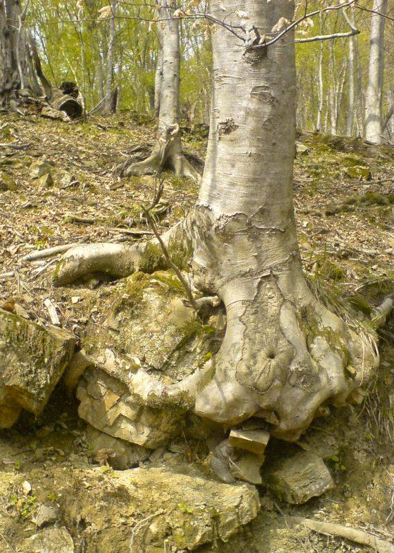 ������� �� ������� ������