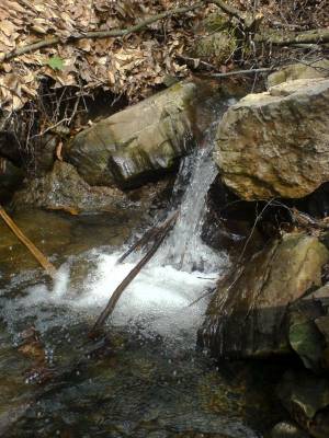 �������� � ������ ������� 