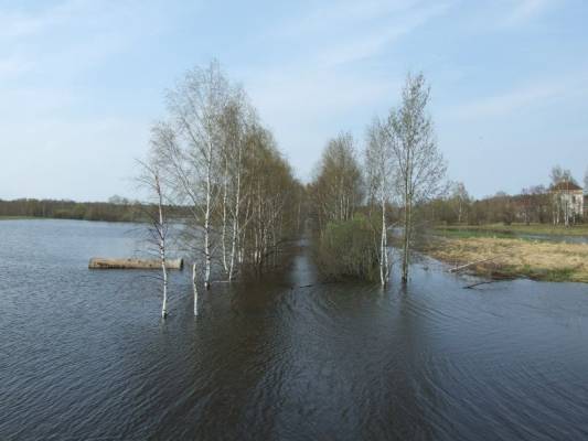 ������ �� ����