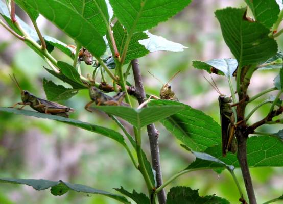 ��� �� ���������, � �� ������� 2...