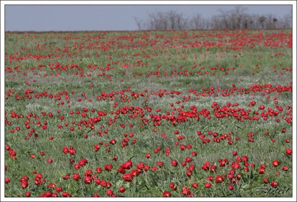 �������� 2