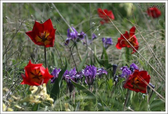 ����� � ��������