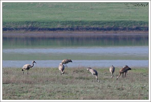 �������