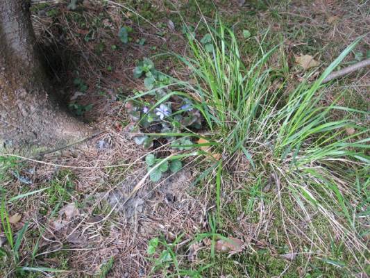 � ��� ��� �����