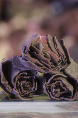 ���������� �������