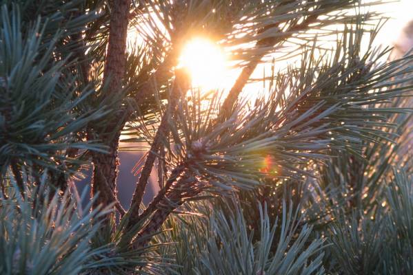 ����� � �������� �������