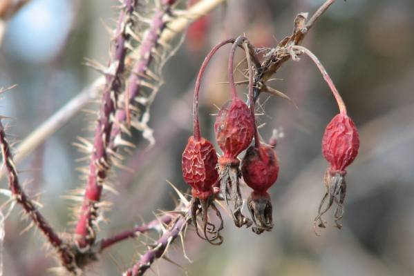 �������� ������ 2