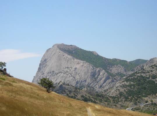 ���� �����