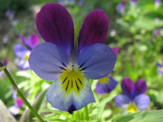 ���������