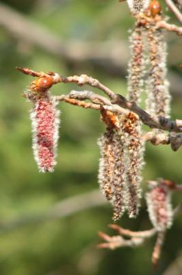 �������� ������� 2