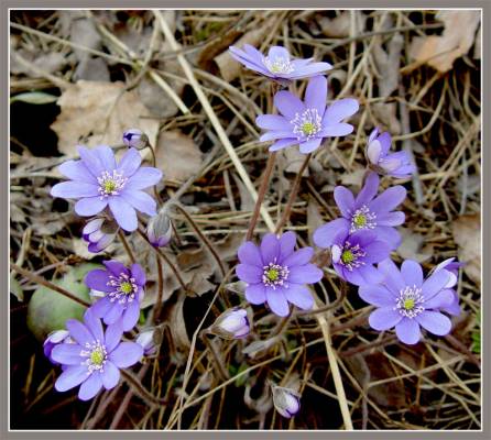 �������� ������.