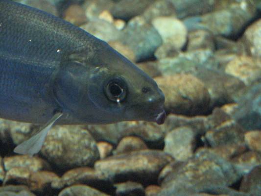 ����������?