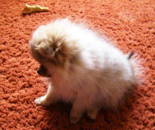  � ����������