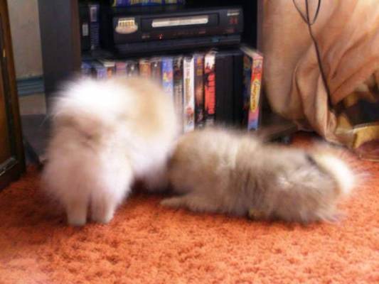 ��, ��� ������� ���������?