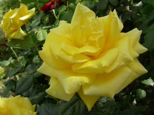 ����������