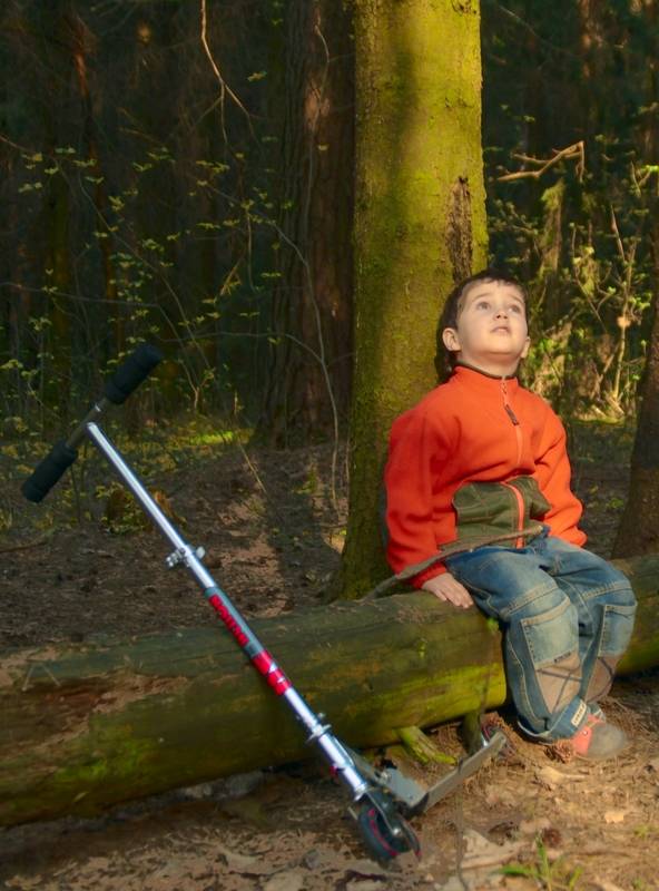 ��� �������