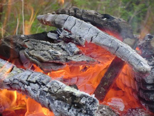 ���� ������...