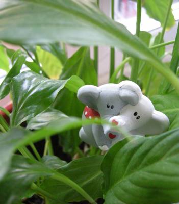 ����� � ����