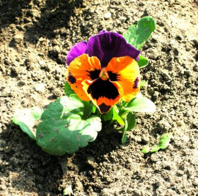 ��� �? ��� �?