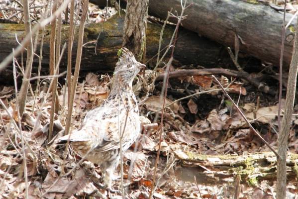 ��������� ������