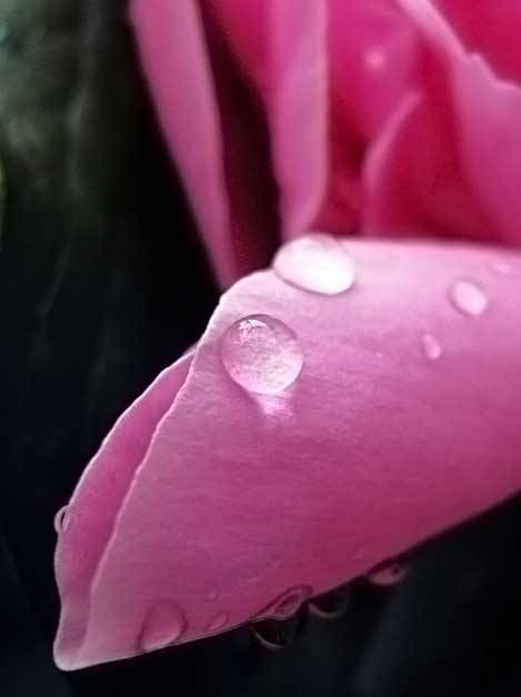 �� ��������