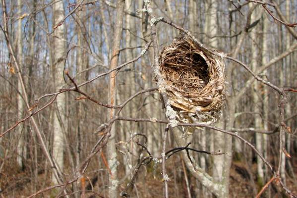 ���������� ������  ������ 2