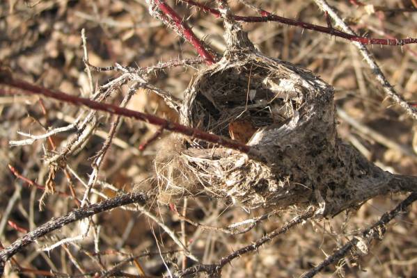 �������� ������ � ���������