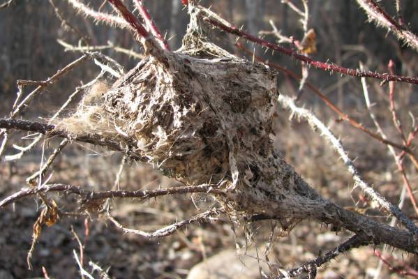 �������� ������ 2