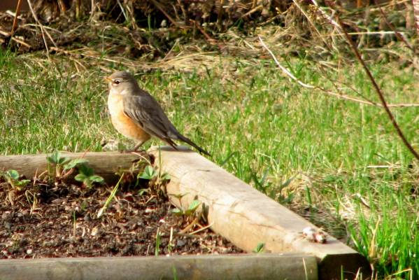 ������������ �����