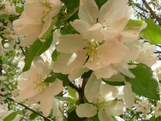 ������ � �����