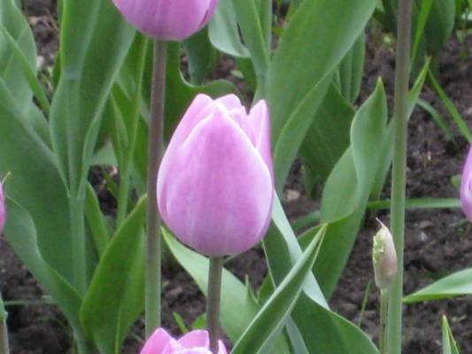 ��������� �������)