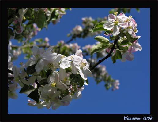 ��������� ����