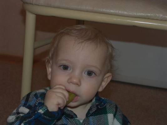 ����, ���� 2005�.