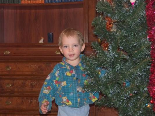 ����, ������ 2006�.