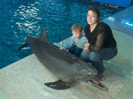 ����, ����, ������ 2006�.