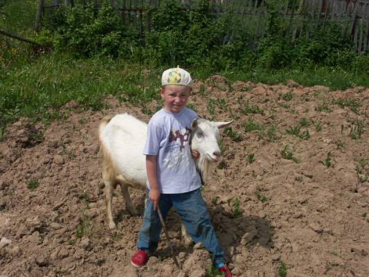 ���� �� ����, ���� 2006�.