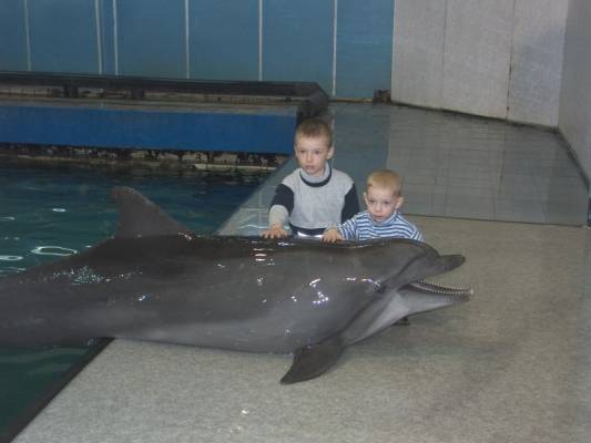 ����, ����, ������ 2007�.