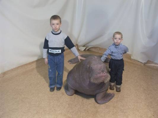 ����, ����, ������ 2007�.