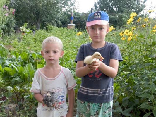 ����, ����, ������ 2007�.